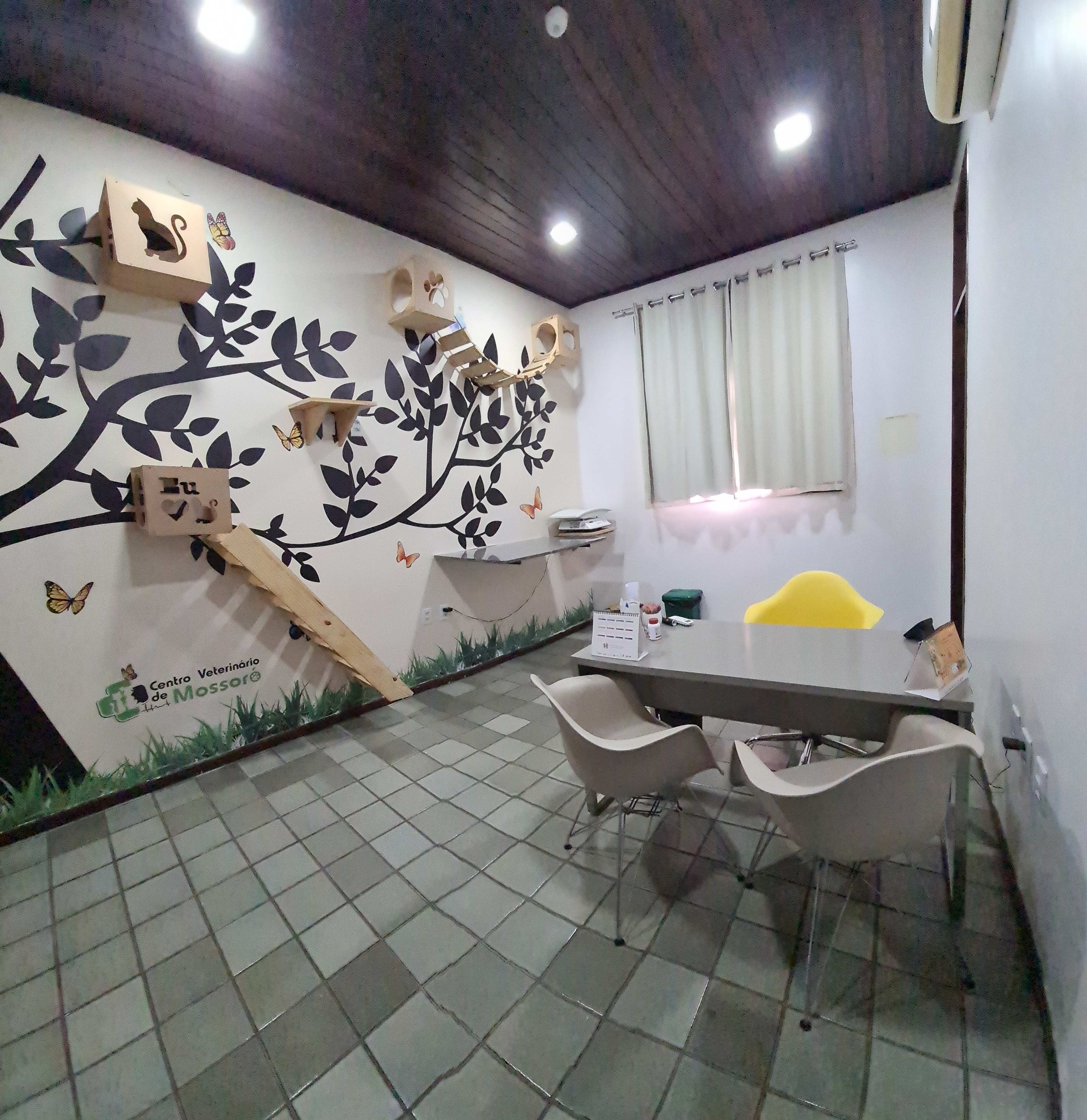 Galeria