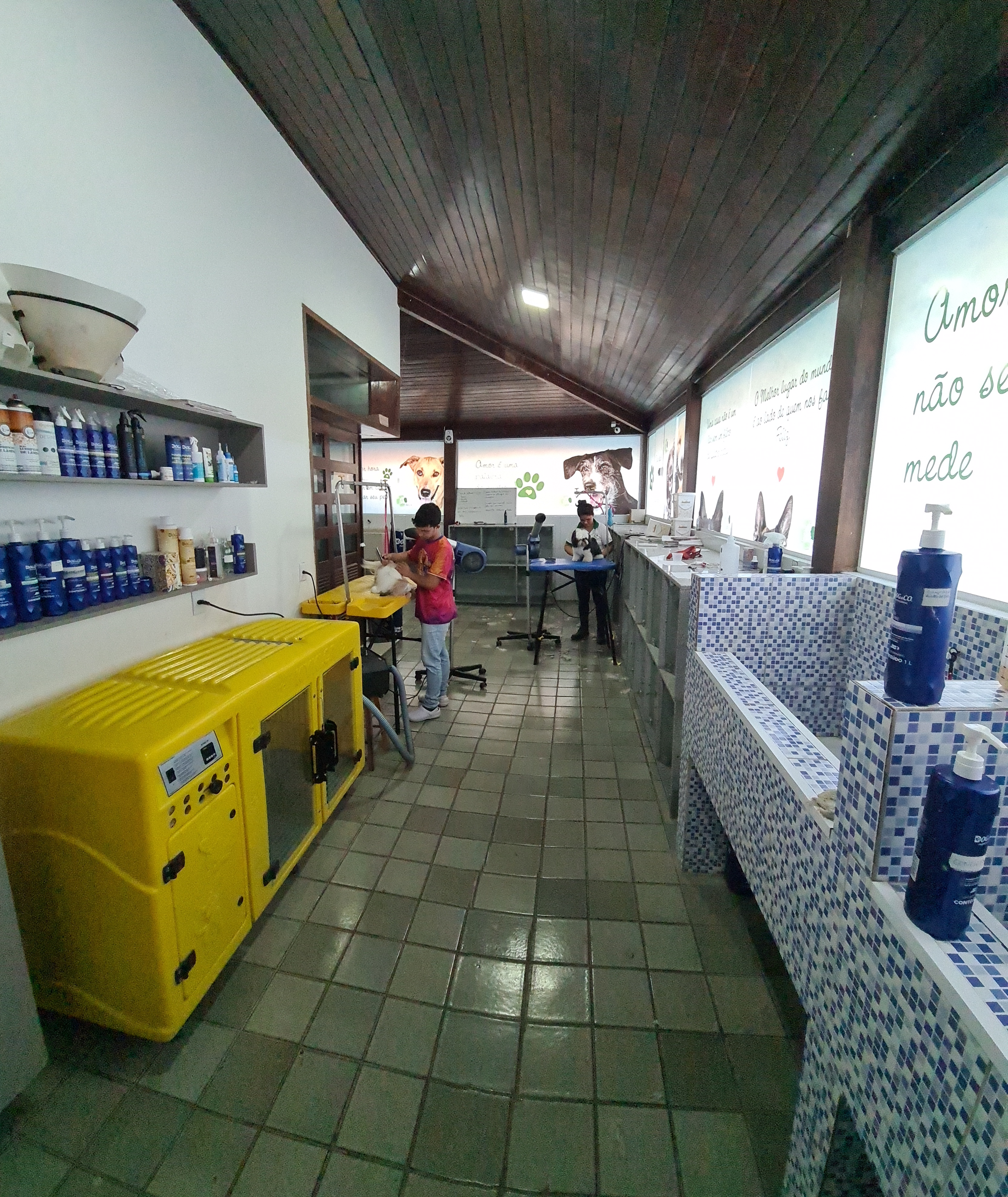 Galeria